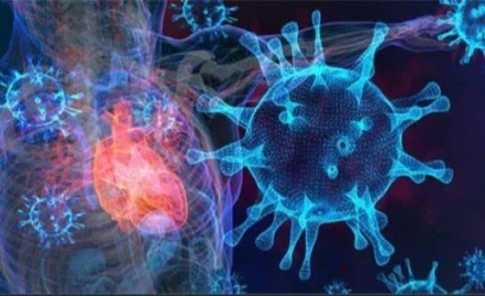 新冠增加患心脏病风险，tDCS可有效保护心脏、